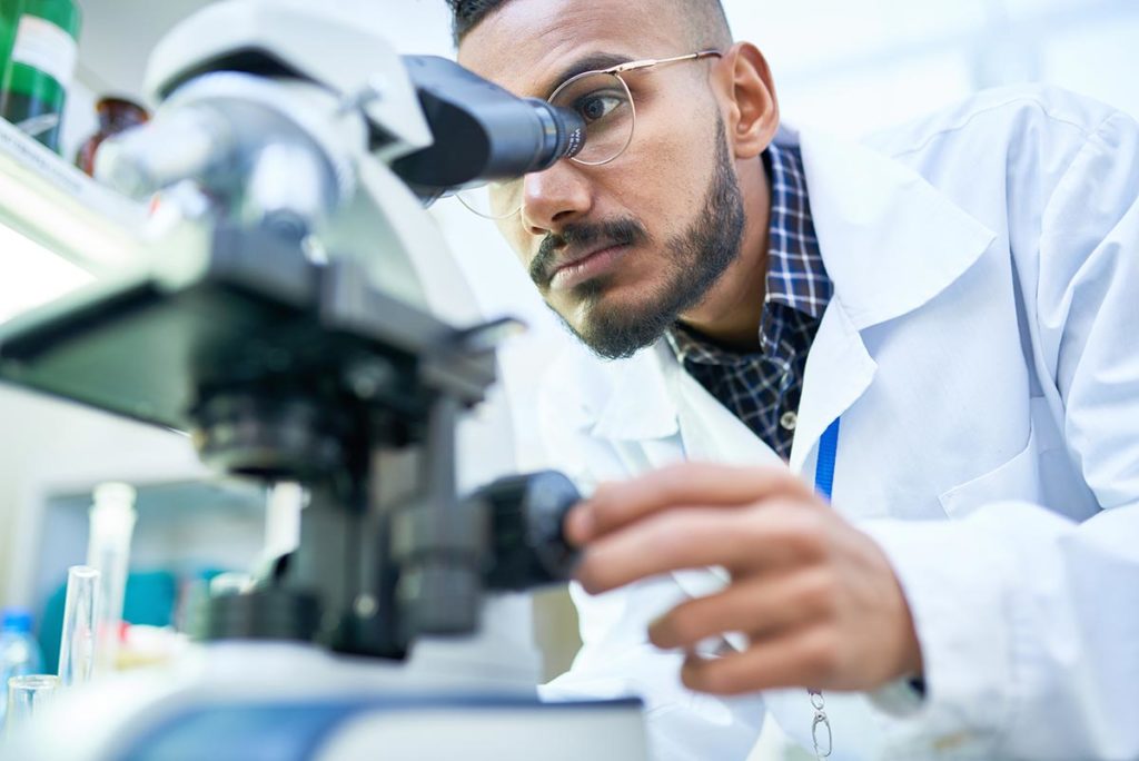 Courses – Distinction College